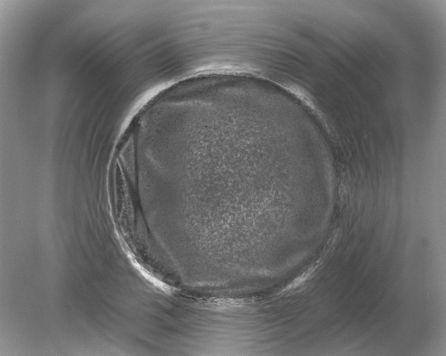 X0000078861030200612041927