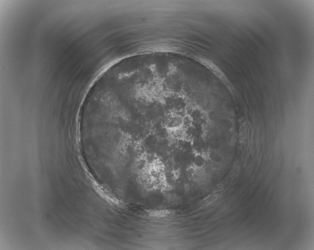 X0000078861031200612041927