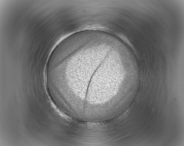 X0000078861032200612041927