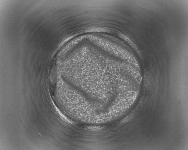 X0000078861033200612041927