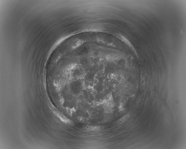 X0000078861035200612041927