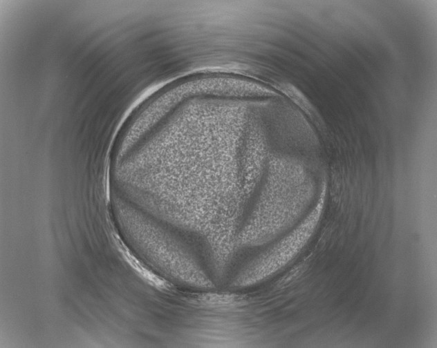 X0000078861036200612041927