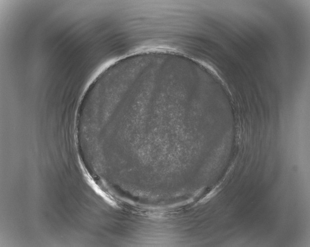 X0000078861038200612041927