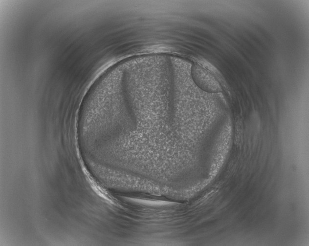 X0000078861039200612041927