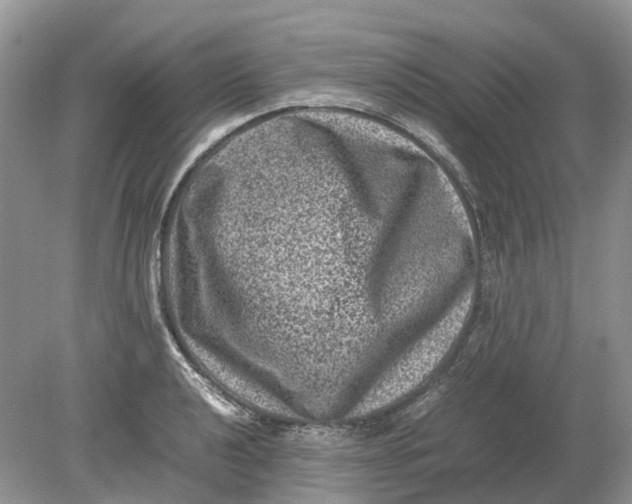 X0000078861040200612041927