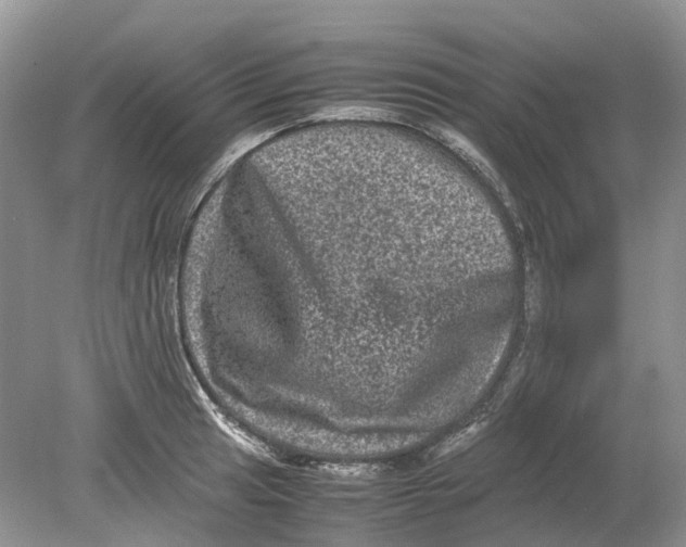 X0000078861041200612041927