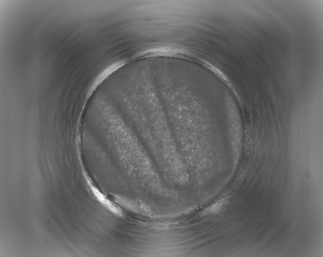 X0000078861042200612041927