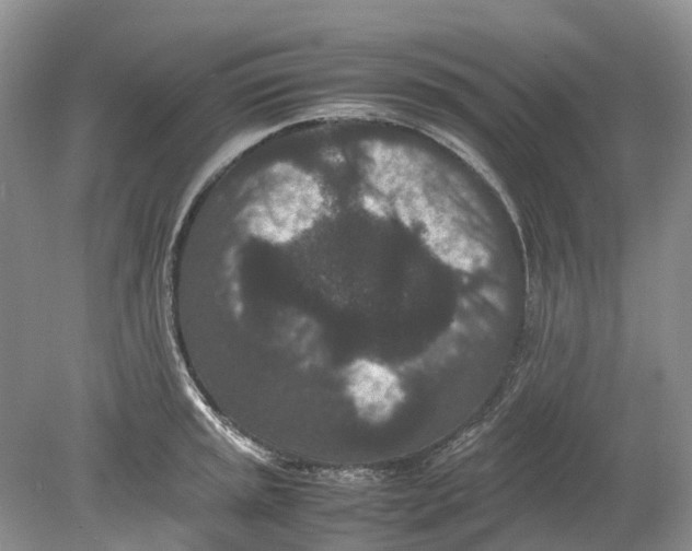 X0000078861045200612041927