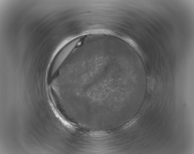 X0000078861046200612041927