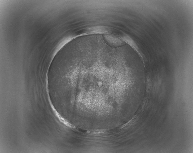 X0000078861047200612041927