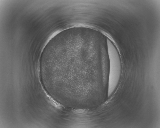 X0000078861048200612041927