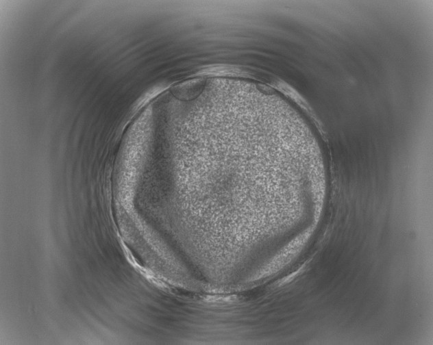 X0000078861049200612041927