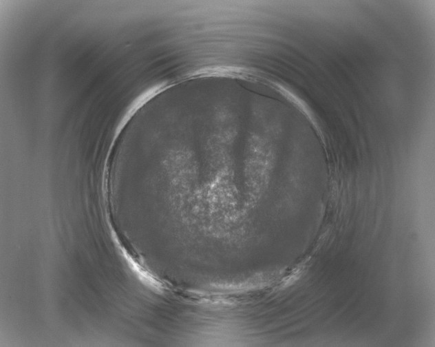 X0000078861050200612041927