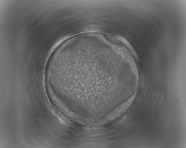 X0000078861051200612041927