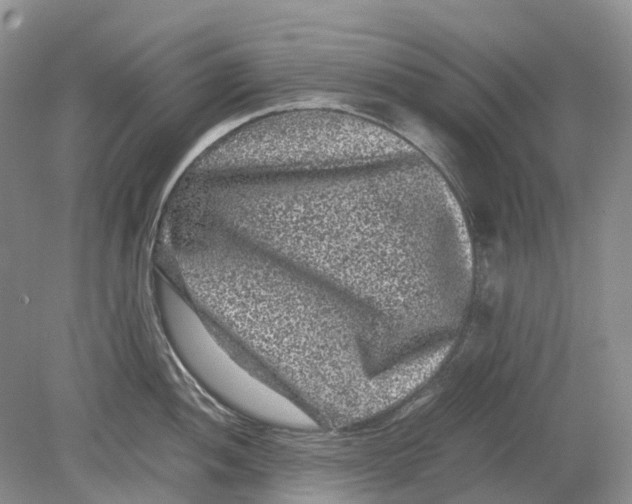 X0000078861052200612041927