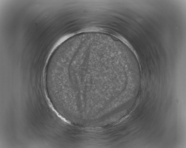 X0000078861053200612041927