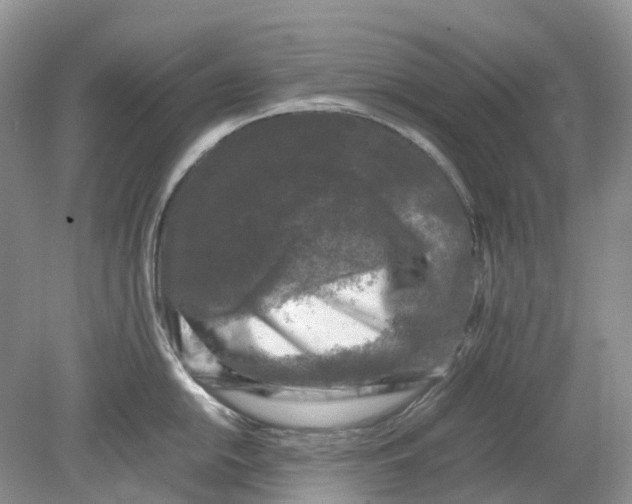 X0000078861054200612041927