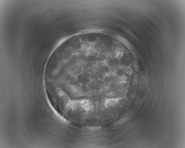 X0000078861055200612041927