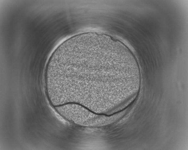 X0000078861056200612041927