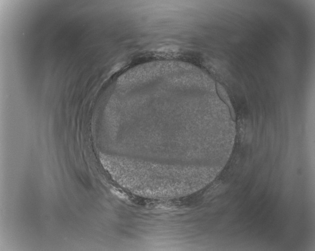 X0000078861057200612041926