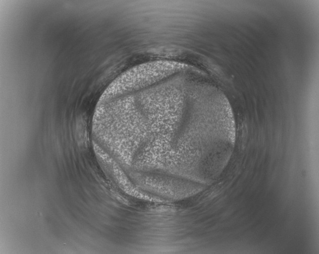 X0000078861058200612041926