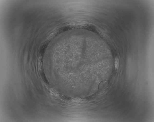 X0000078861059200612041926