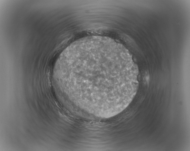 X0000078861060200612041926