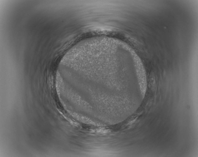 X0000078861061200612041926