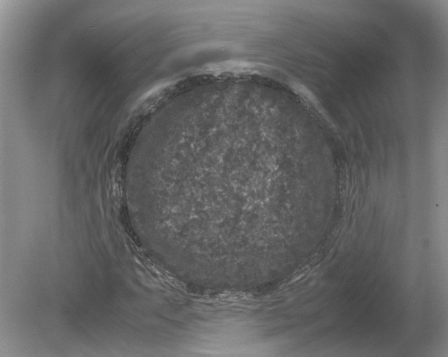 X0000078861063200612041926