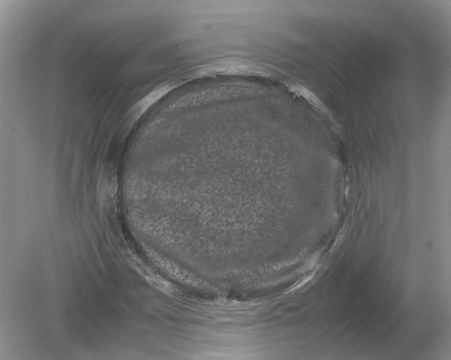 X0000078861065200612041926