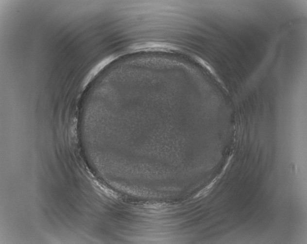 X0000078861066200612041926