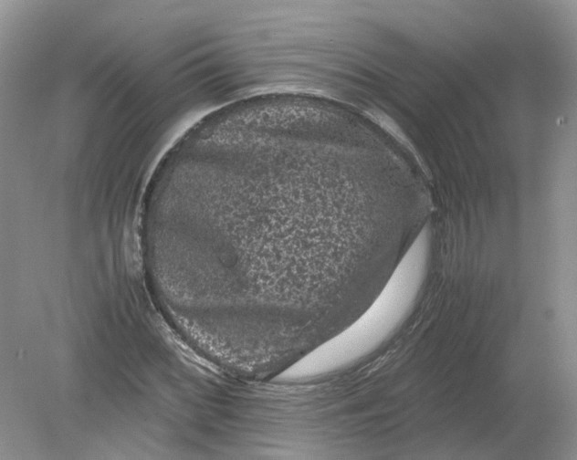 X0000078861068200612041926