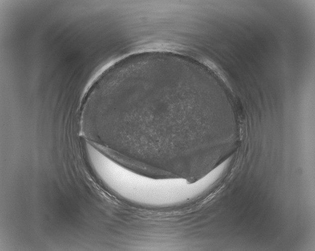 X0000078861069200612041926