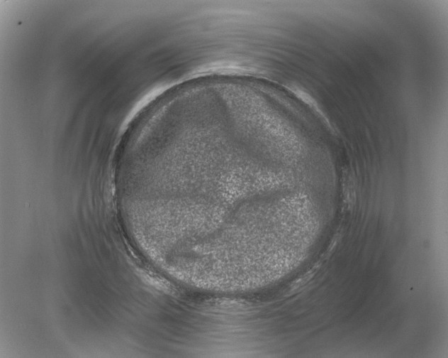 X0000078861070200612041926