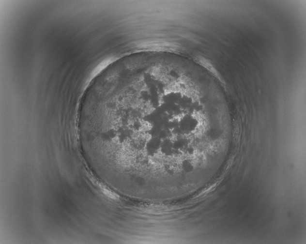 X0000078861071200612041926