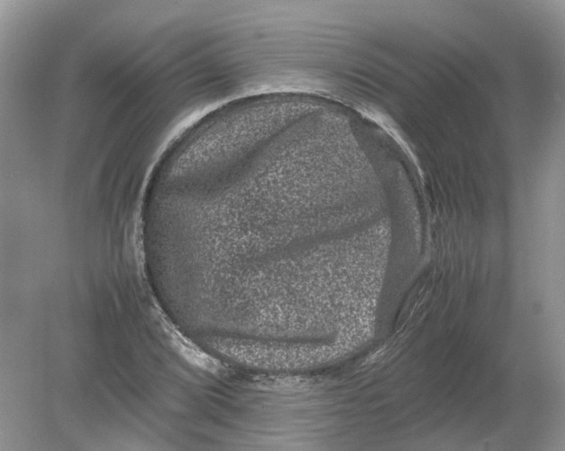 X0000078861072200612041926