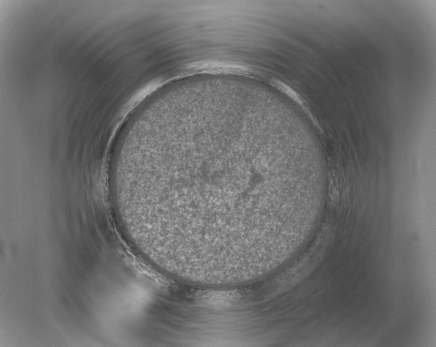 X0000078861074200612041926