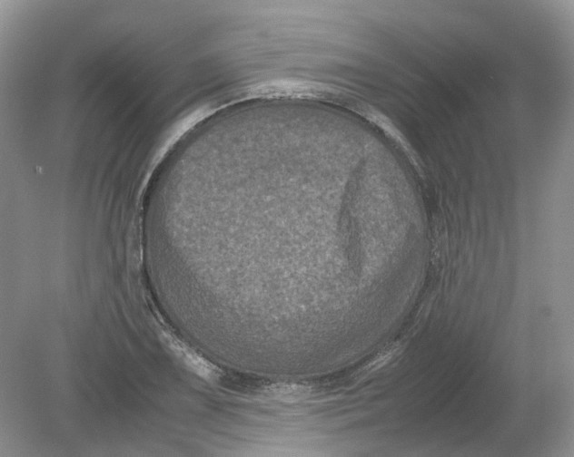 X0000078861075200612041926