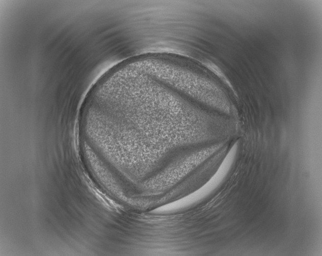 X0000078861076200612041926