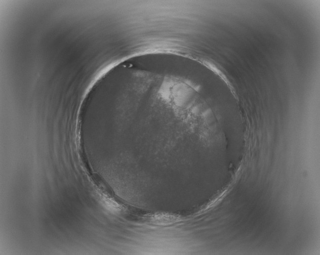 X0000078861077200612041926