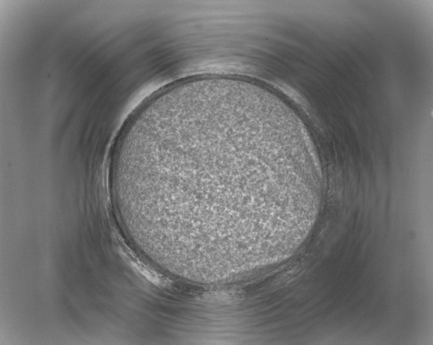 X0000078861078200612041926