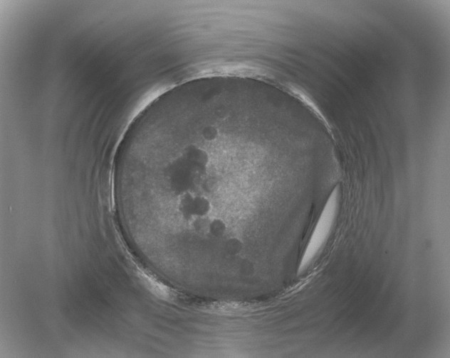 X0000078861079200612041926