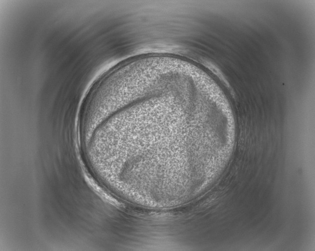 X0000078861080200612041926