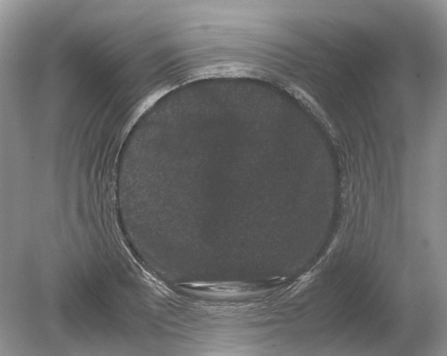 X0000078861081200612041926