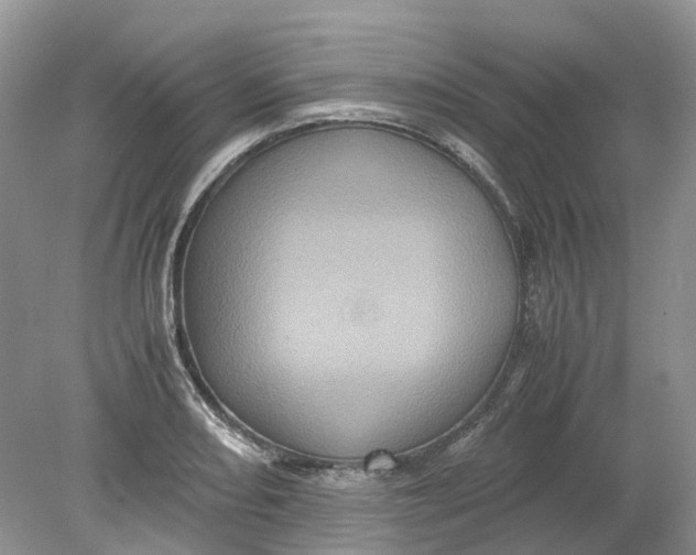 X0000078861082200612041926