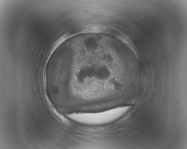 X0000078861083200612041926