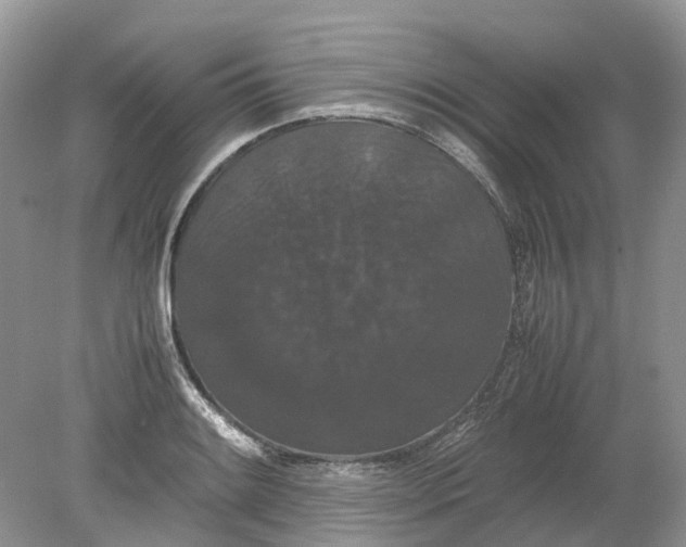 X0000078861084200612041926