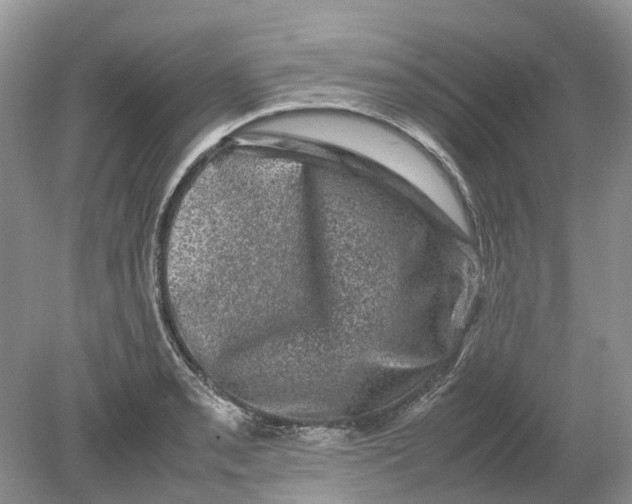 X0000078861085200612041926