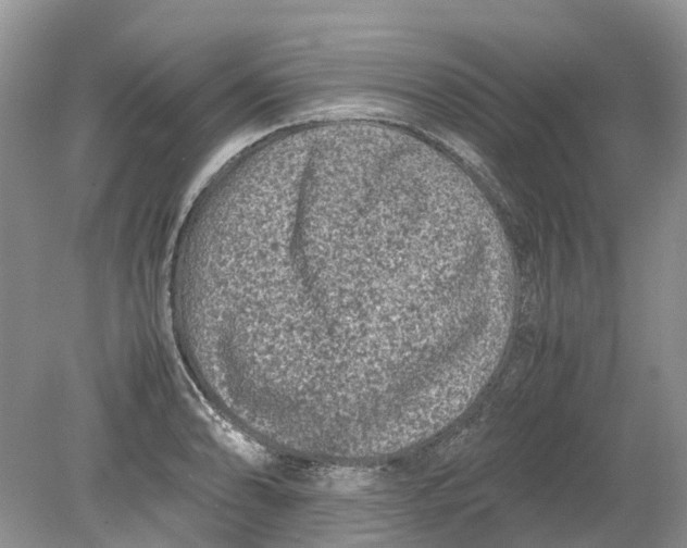 X0000078861086200612041926