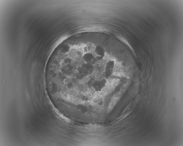 X0000078861087200612041926